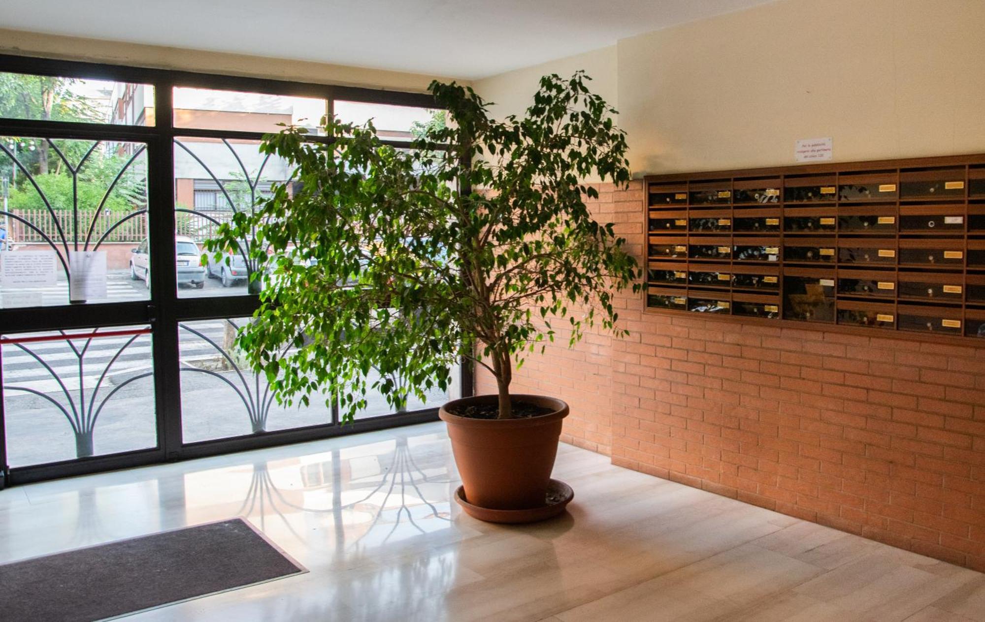 Mbs Marconi Bridge Suites Guest House 罗马 外观 照片